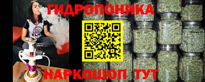 дживик Пенза