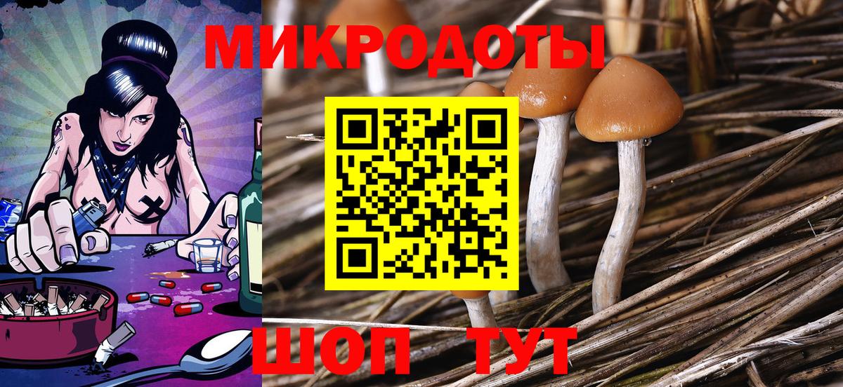 Галлюциногенные грибы Psilocybe  Вход с VPN  Ртищево 